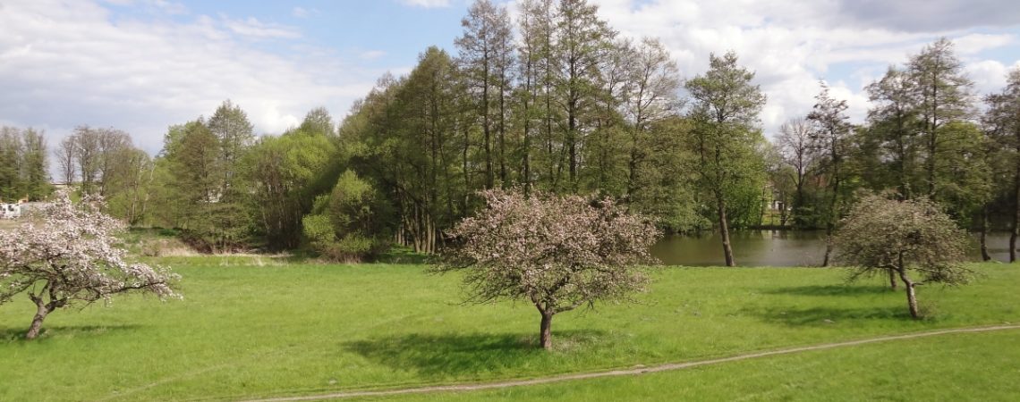 Pokoje nad stawem